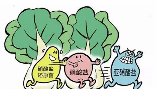 无糖酸奶和无脂酸奶，哪种减肥效果更好？