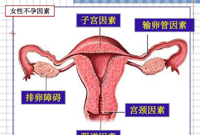 惊人之举：女子耗资68万进行多次抽脂手术