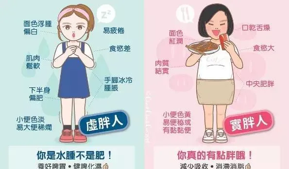 40岁女性专属减脂食谱：告别误区，轻松实现健康瘦身