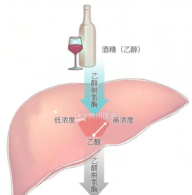 2023年权威发布《儿童青少年身高体重标准对照表》：您孩子的发育水平如何?